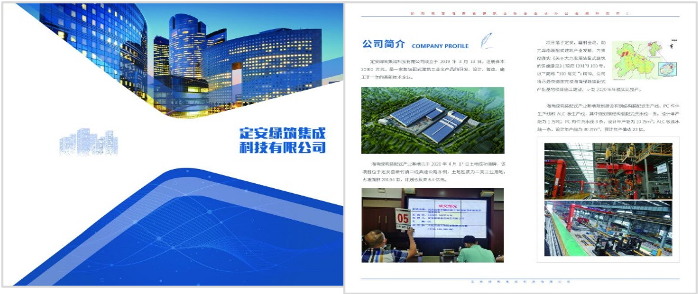 手提袋、折頁(yè)和海報(bào)設(shè)計(jì) 案例展示 第2張